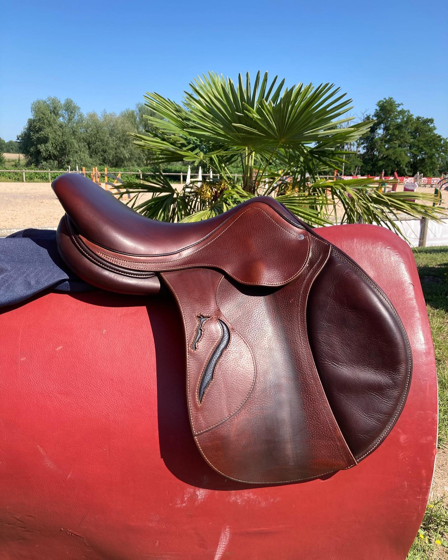 Selle Antares Evolution 